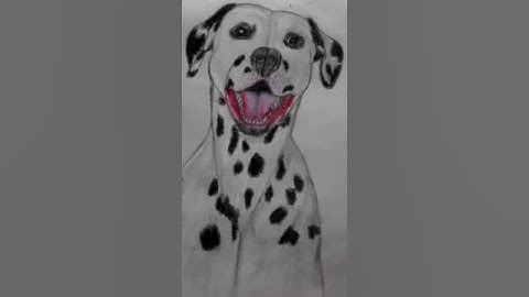 Dog Dalmatian drawing shorts #dog #dalmatiandog #shorts #art