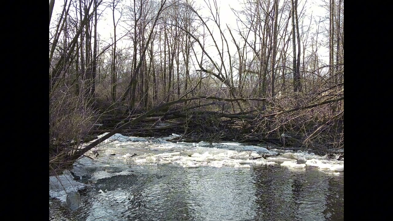 TRUDAKID - “CAMP CRYSTAL PT. 2”