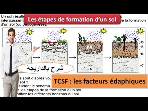 Vidéo: Quelle est la formation du sol?