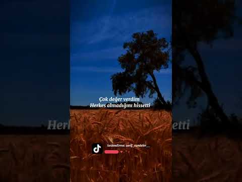 Kimse yüreğine göre