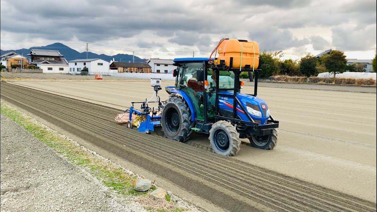 Carrot Planting in Tokushima,Japan【春人参種まき】🥕