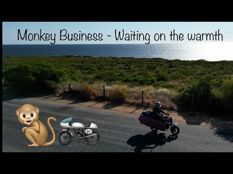 ???LITS 002 - Monkey Business - Waiting on the Warmth