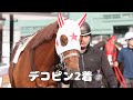 【現地撮影】デコピン浦和移籍初戦2着🥈