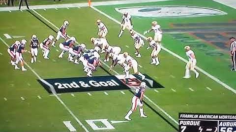 Zip Zap Motion - Soft Toss Fly Sweep