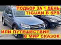 Подбор за 1 день WV Tiguan в Питере