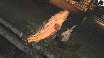 Download 龍が如く維新 釣り 赤ちゃんねる大人の実況 Mp3 Free And Mp4