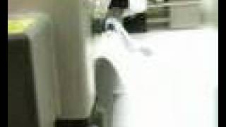 ROLLSROLLER Flatbed Applicator®