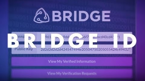 Bridge Passport Extension Tutorial