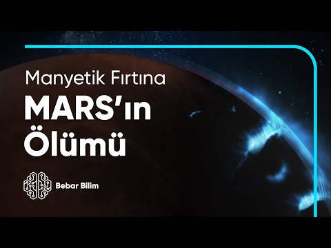 Video: Fırtına mahzenleri güvenli midir?