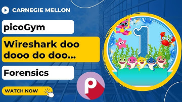 picoGym (picoCTF) Exercise: Wireshark doo dooo do doo...