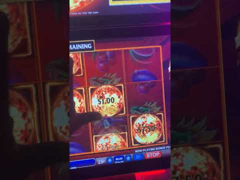 Experience the Thrill of Seminole Hard Rock Hotel and Casino Hollywood Florida