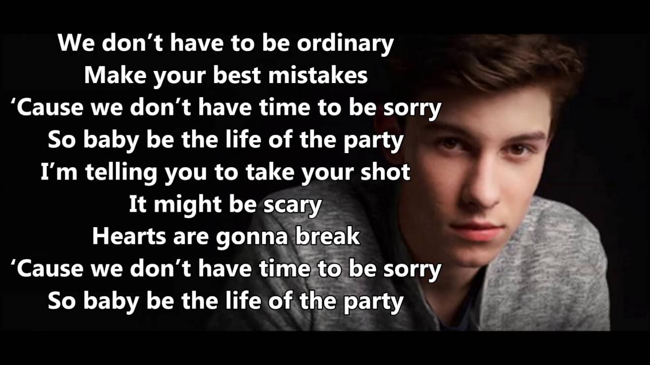 Shawn Mendes Life of the party (lyrics & pictures) YouTube