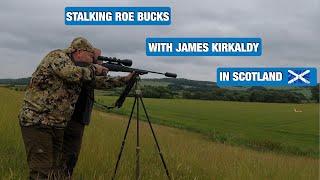 Roe Buck Stalking In Scotland With James Kirkaldy