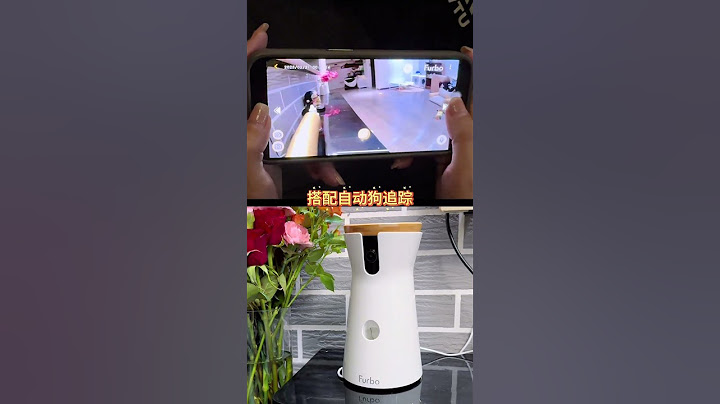 张大帅嗷呜总是奇奇怪怪，小帅每次都被吓得不轻，要不是有这个监控，我都不知道小帅这么嫌弃它#萌宠 #博美 #狗狗 #furbo狗狗摄像机