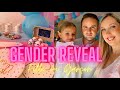 Gender reveal fille ou garcon   camilyssie