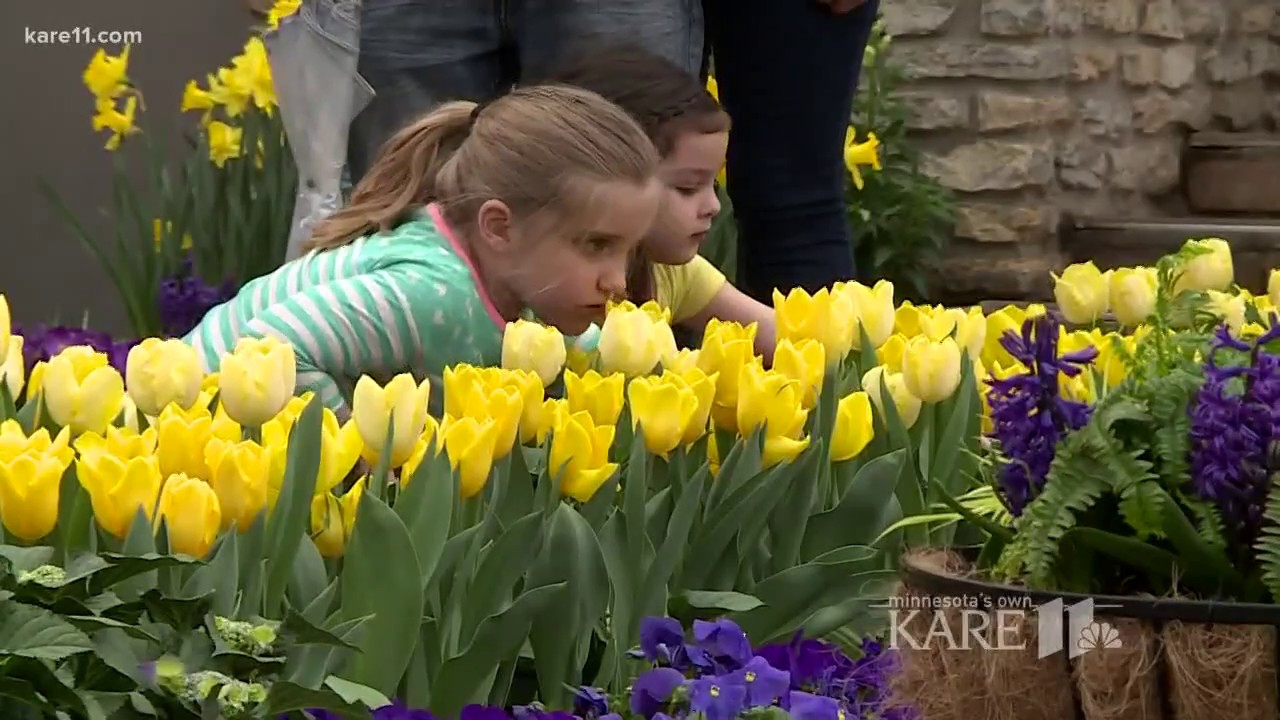 Como Conservatory Spring Flower Show YouTube