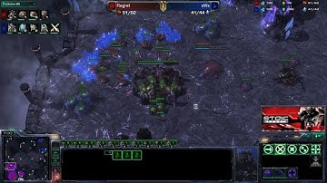 E22G4 - ZvP - David vs sWs - Surprise 2 gate void rays!!