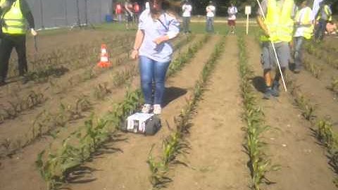 FRE2014 - BANAT - Advanced Task