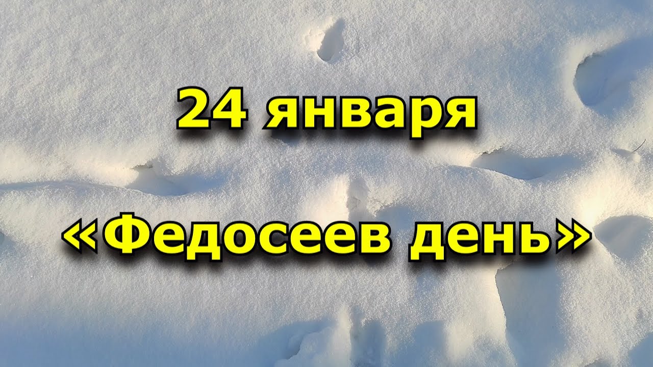 24 января 2017. Федосеев день. 24 Января день. 24 Января народный календарь. Народный календарь Федосеев день.