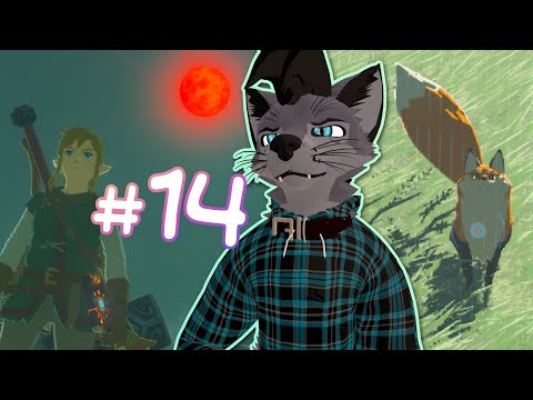 NINTENDOVEMBER: Day 11 • The Legend of Zelda: Breath of the Wild • VOD #14