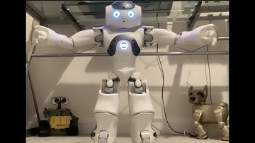 Roy as fitness instructor   #naorobot