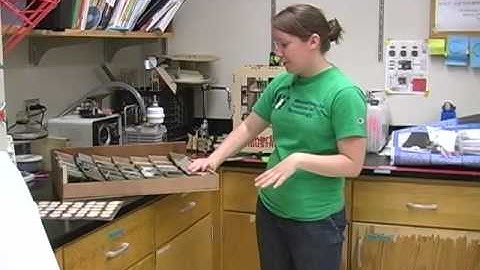 The D Lab at MIT  Innovations for and by Developing Nations SD clip18