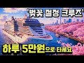 부산 크루즈 2편 이제 벚꽃 크루즈여행 하루5만원으로