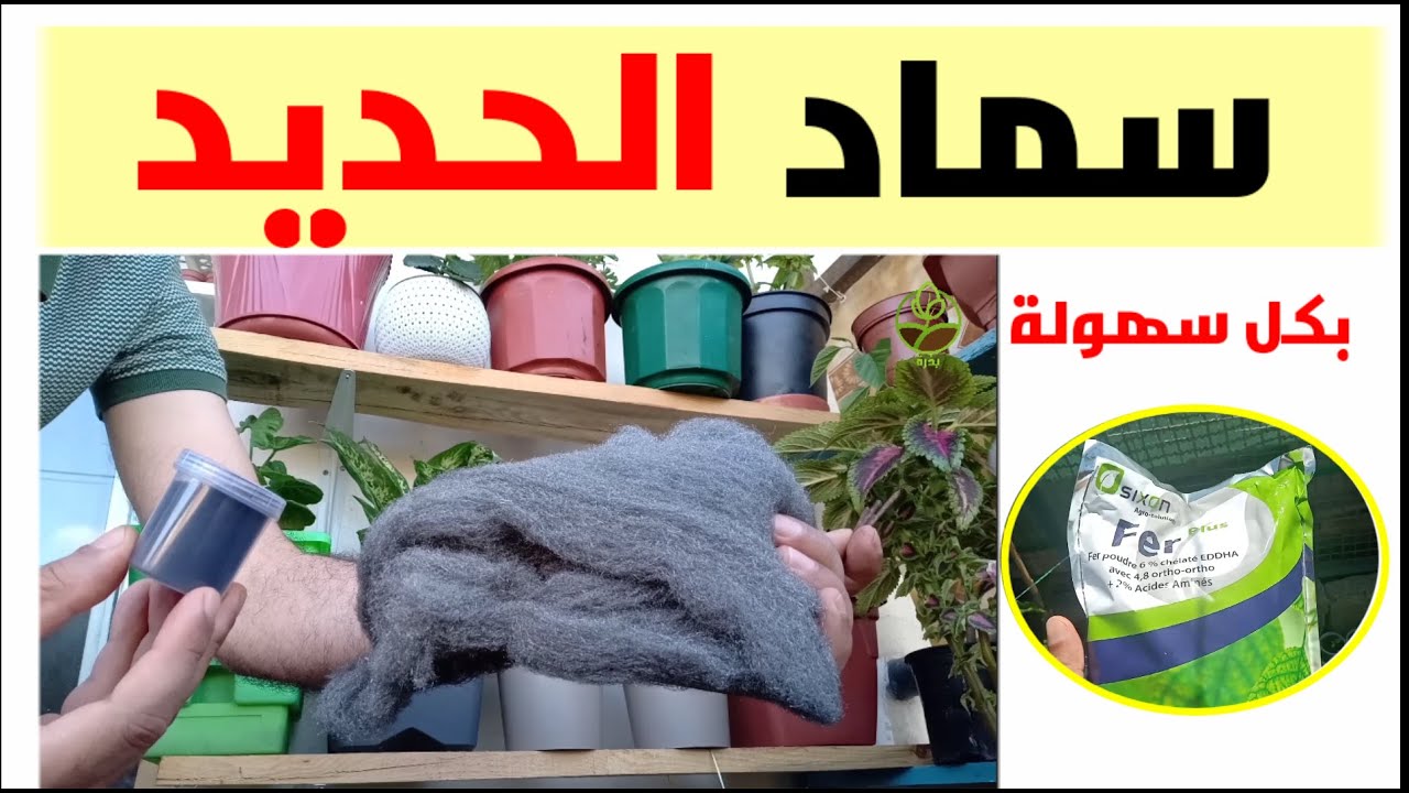 سمد نباتاتك صح بالحديد (شيلات حديد و مسامير و سلك مواعين) سماد الحديد