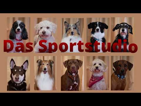 Vorschaubild Video 14 – Pfotensport