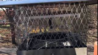 Damper Plate | Doctor Flue