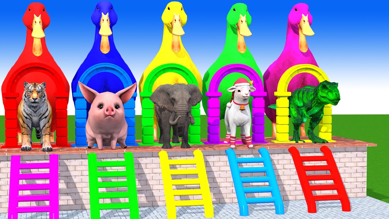 Long Slide Game With Cow Elephant Gorilla Hippopotamus Tiger 3d Animal Game Funny 3d Animals