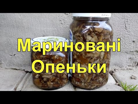 Мариновані Опеньки,як Варити Опеньки, Простий Рецепт Маринованих Опеньків, Опеньки на зиму,Підпеньки