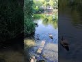 Priory Gardens - Part2