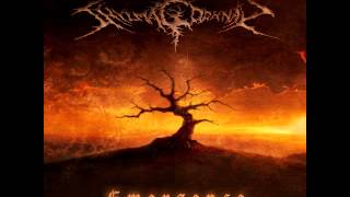 Shylmagoghnar - Eternal Forest (2014) chords