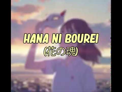 Hana ni bourei | lirik bahasa Jepang dan terjemahan