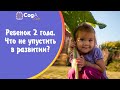 Что важно не упустить в развитии ребенка 2 лет