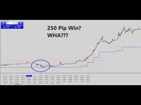 this-amazing-forex-system-is-a-loser?
