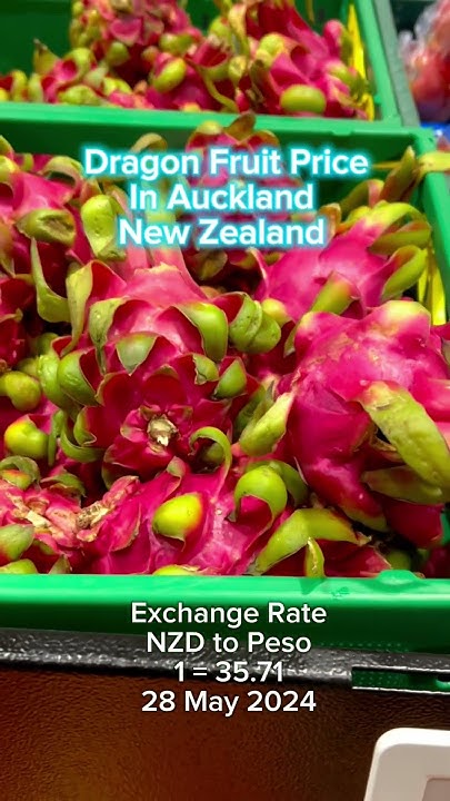 dragon-fruit-price-in-auckland-new-zealand-food-yummy-fruit-fyp