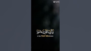 إِنَّ اللَّهَ وَمَلَائِكَتَهُ يُصَلُّونَ عَلَى النَّبِيِّ ۚ #القرآن_الكريم #راحة_نفسية #تلاوات