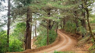 Parque Nacional Montecristo, Metapan Santa Ana, El Salvador