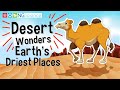 Desert Features and Adaptations