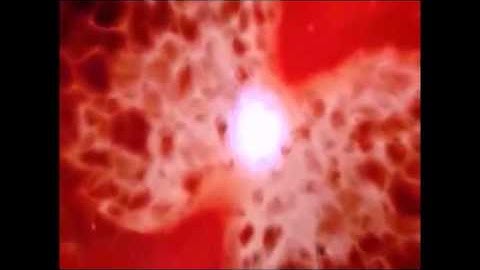 مقتطفات من سور متنوعه  للقارئ الشيخ بكر عبد الجيد ابو النجا