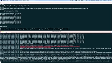 Pivotal CF 1.1 Log Aggregation