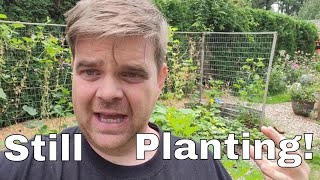 Planting Flowers; Trouble in the Pumpkin Patch;  This Week's Harvest!