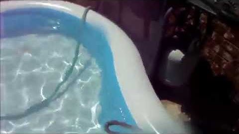 Setting up the new inflatable swimming pool for the first time!