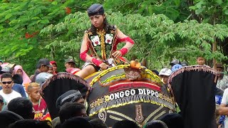 PODANG KUNING - KACU KUNING | Seni Gajah Onggo Dippo Ngindeng | Hiburan Tahun Baru 2020