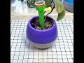 Drip Irrigation Watering System Automatic Garden Watering Spike #shorts