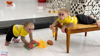 Naughty monkey Lily breaks eggs and knows how to clean the house