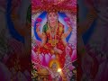 Jai mata di