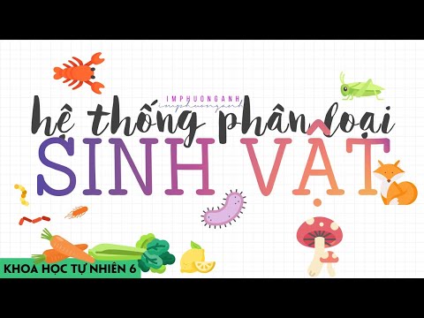 Video: Tại sao thể hiện sự thiên vị không phù hợp với đức tin?